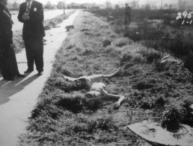 😱 🔴Graphic Content Warning🔴 😱+ The Black Dahlia: The brutal murder of Elizabeth Short - Image Idea
