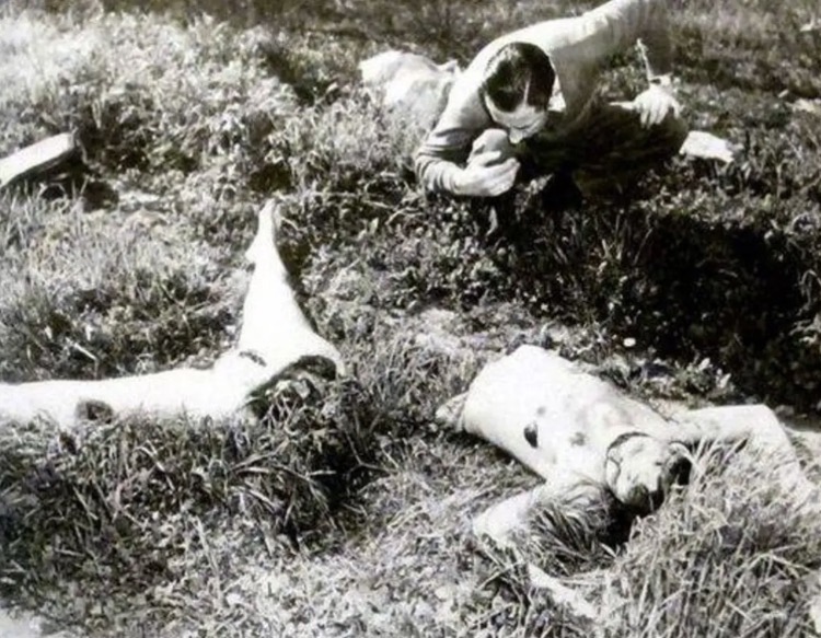 😱 🔴Graphic Content Warning🔴 😱+ The Black Dahlia: The brutal murder of Elizabeth Short - Image Idea